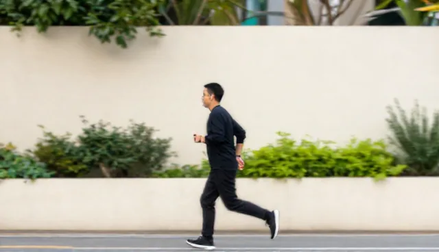 技术支持的适用条件与选择依据分析